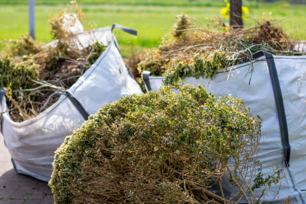 Best Yard Cleanup Services  in Franklin Lakes, NJ